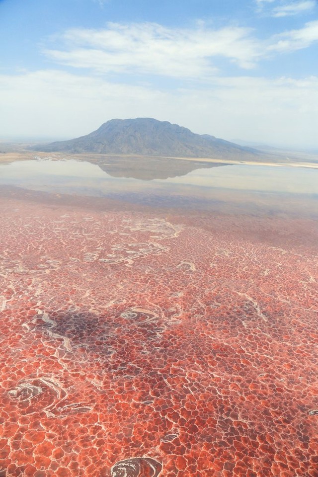 Jezero Natron je slano i alkalno jezero na sjeveru Tanzanije.
