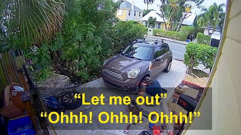 Njegov vlasnik je u međuvremenu popravljao nešto na svom autu...