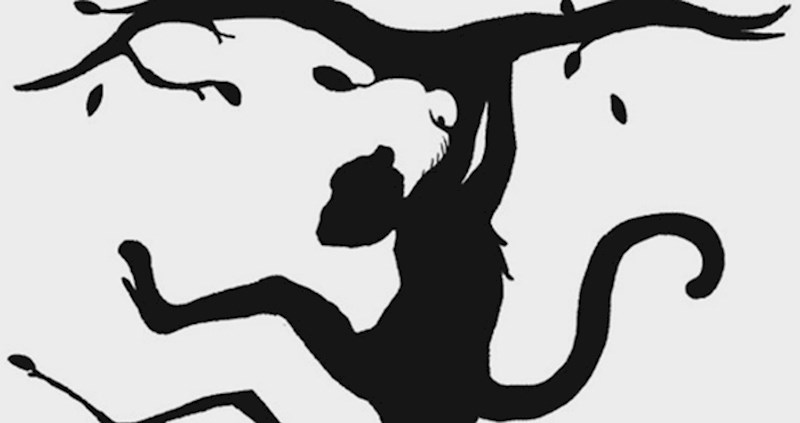 Prva životinja koju vidite na ovoj slici otkriva nešto o vašoj osobnosti i načinu razmišljanja