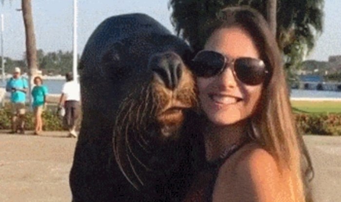 Htjela je napraviti selfie s morskim lavom, a onda ju je iznenadio svojom reakcijom