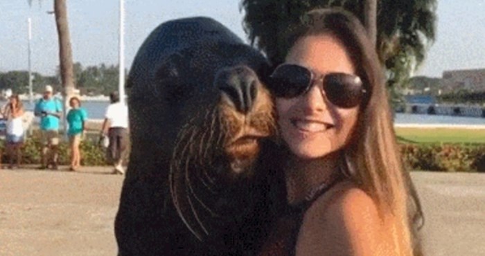 Htjela je napraviti selfie s morskim lavom, a onda ju je iznenadio svojom reakcijom