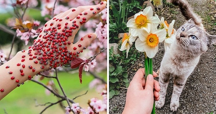 Najzanimljivije slike ljudi koji su htjeli pokazati kako proljeće izgleda u njihovoj državi