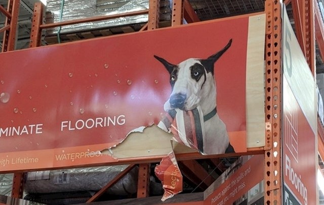 Poderani plakat je izgledao kao da ga je poderao pas s reklame.