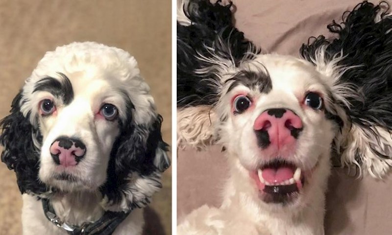 Kakva kombinacija boja! 😍