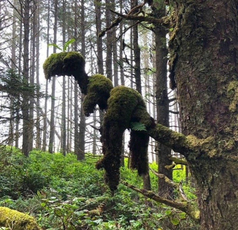 Tko kaže da dinosauri ne postoje? ;)