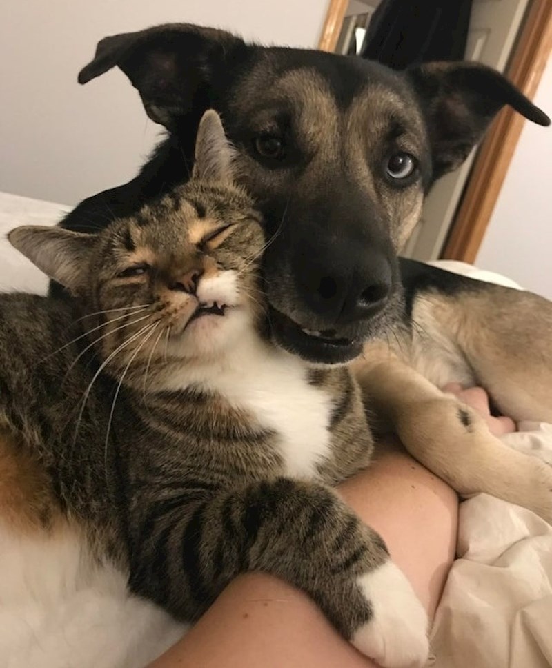 Zajedničko buđenje