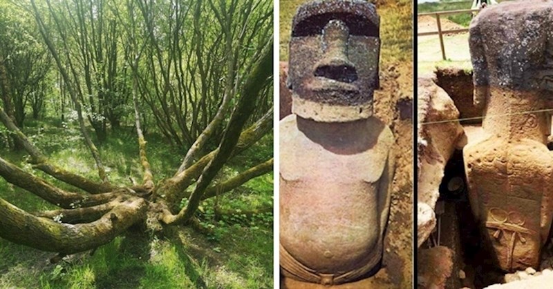 20 ljudi podijelilo je slike najzanimljivijih prizora koje su u zadnje vrijeme vidjeli