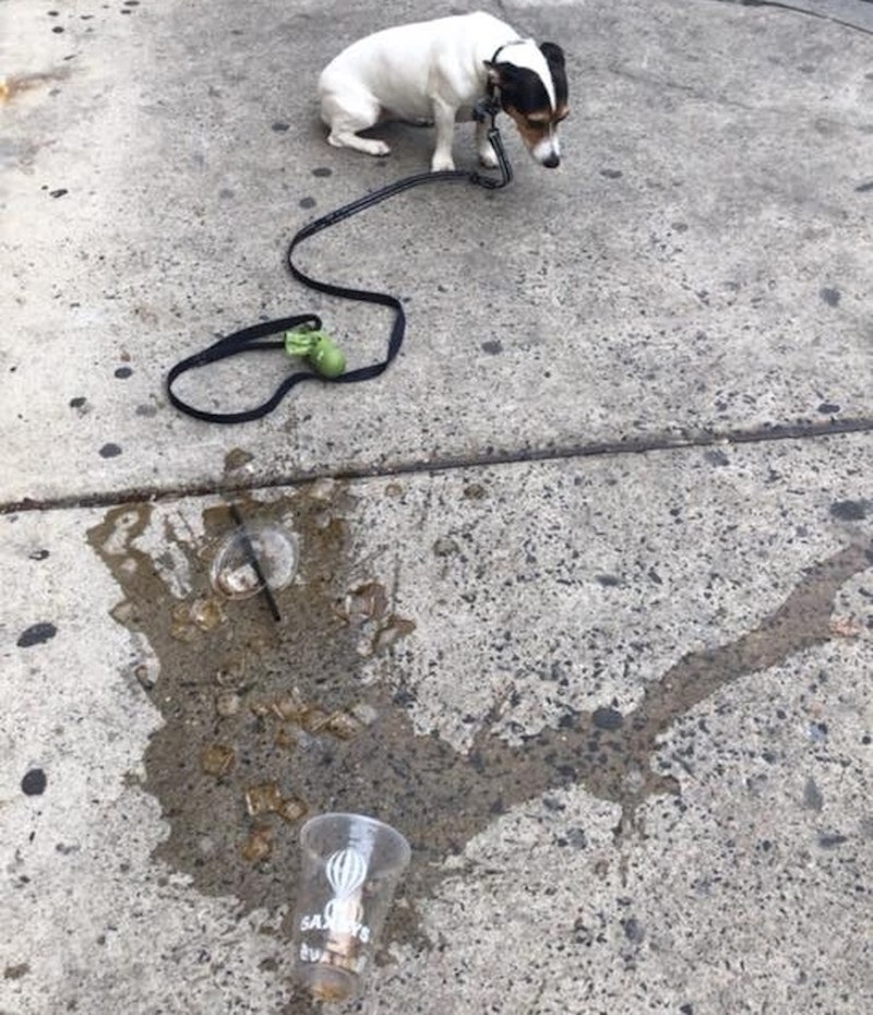 Kad prejako povuče uzicu...