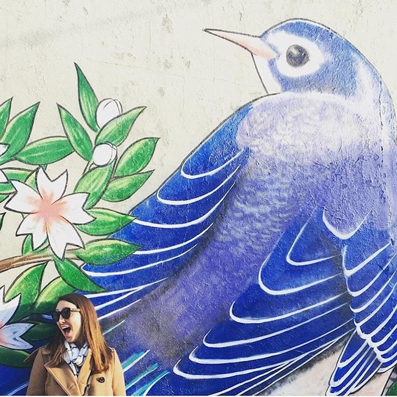 "Počeo sam se bojati uličnih umjetničkih radova. Svaki put znam da će me zaustaviti kako bih je slikao."