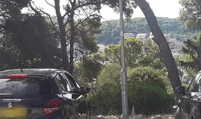 Muškarac na Hvaru zabrinuo prolaznike, pogledajte gdje je sebi našao savršeno mjesto za odmor