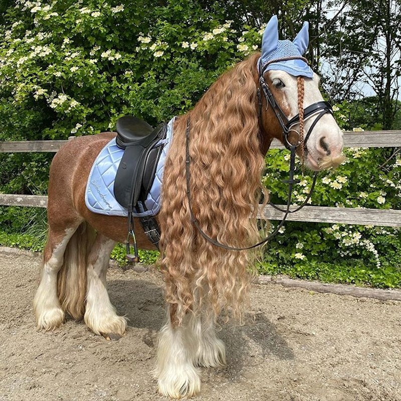 Mnoge žene bi htjele imati ovakvu kosu.