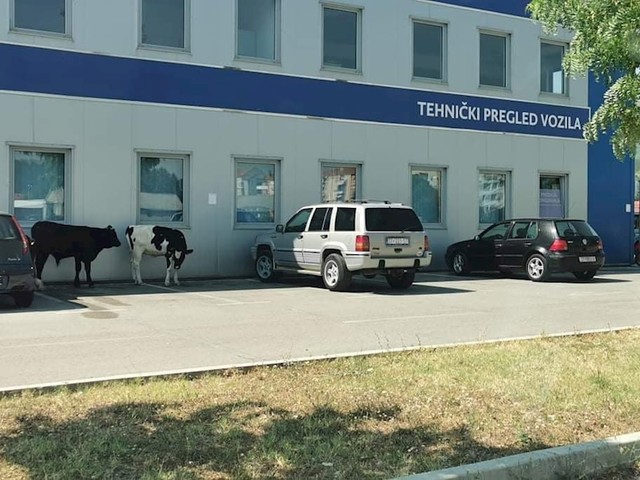 Ovo je morao slikati i podijeliti na Facebooku: