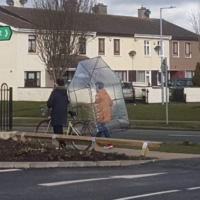 "Šetnja u samoizolaciji"