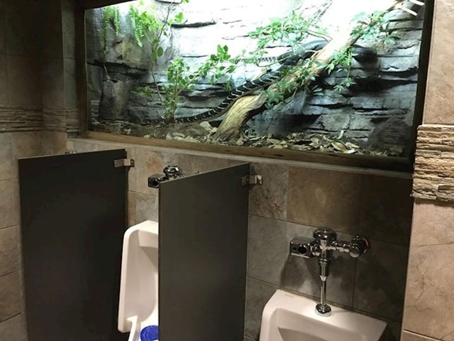 Neki restorani postave reklame u WC-u, a neke postave terarij za zmiju...