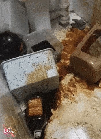 Kuća im je izgledala kao da su ih opljačkale svinje, a onda su ih tragovi odveli do "zločinca"