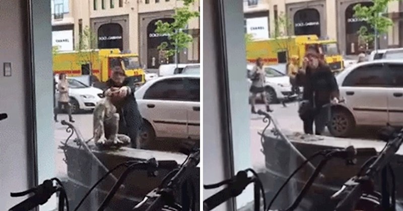 Čovjek nikako nije mogao shvatiti što se događa kad je ispred zgrade vidio ovu ženu