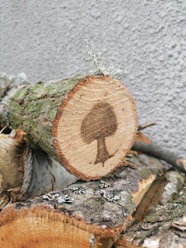 Drvo koje u sebi ima nacrtano drvo... :)