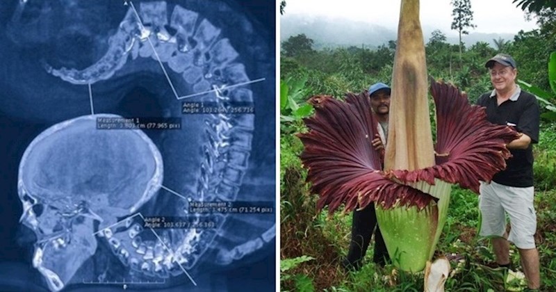 15 slika koje dokazuju da je priroda puna misterija i čudesnih prizora