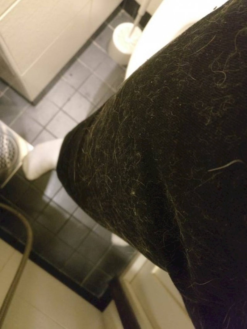 Kad vam mačje dlake ostanu na odjeći...