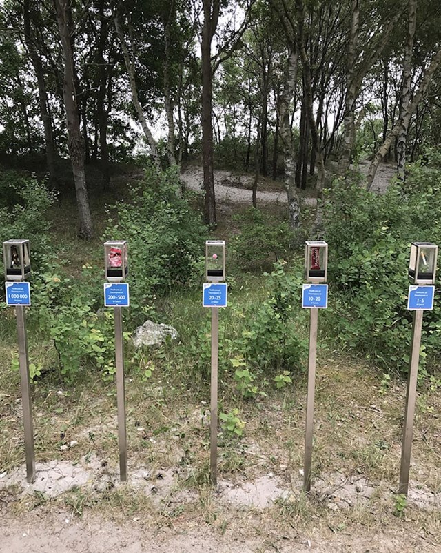 Postavili su stupiće s najčešćim vrstama otpada koje ljudi bacaju po plažama. Na svakom stupu je pisalo koliko vremena treba da se pojedina vrsta smeća razgradi.