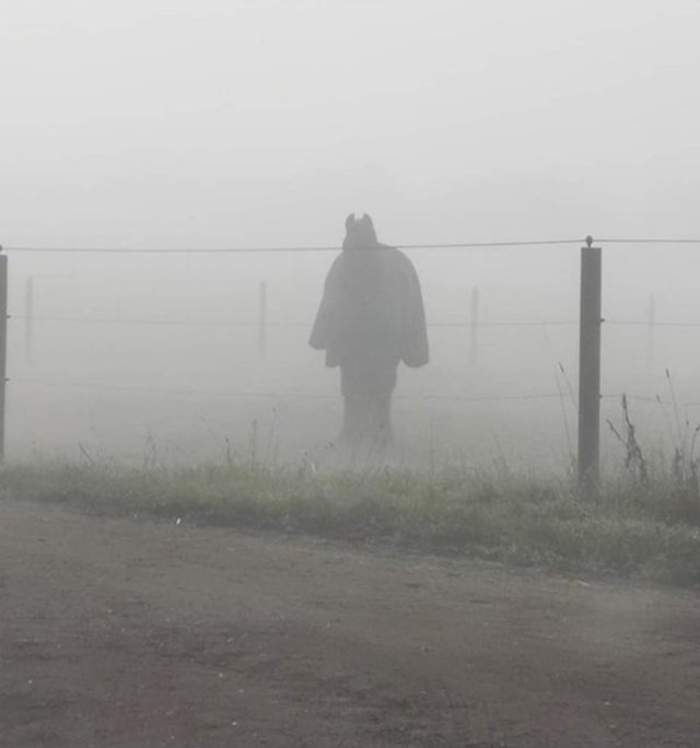 "Mislio sam da me Batman čeka u magli. Zapravo je riječ o konju."