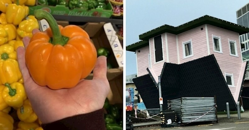 15 ljudi podijelilo je slike zanimljivih stvari koje su nedavno vidjeli