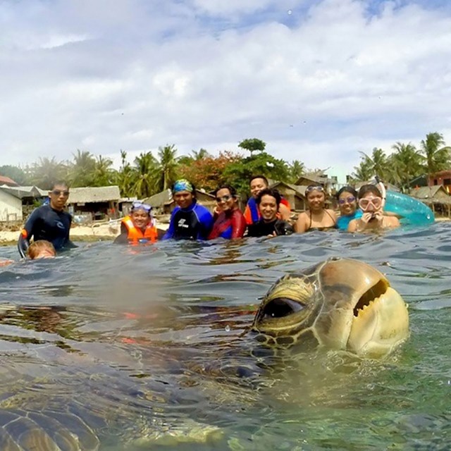 Htjeli su napraviti grupnu fotku, a onda se pojavila ova morska kornjača.