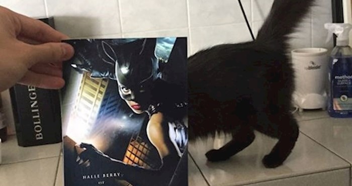 Ljudi su pokušali svoje mačke savršeno uklopiti u filmske postere, rezultat je bolji od očekivanog