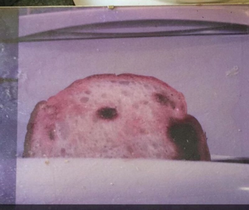 Pas ili tost? Pogledajte malo bolje.