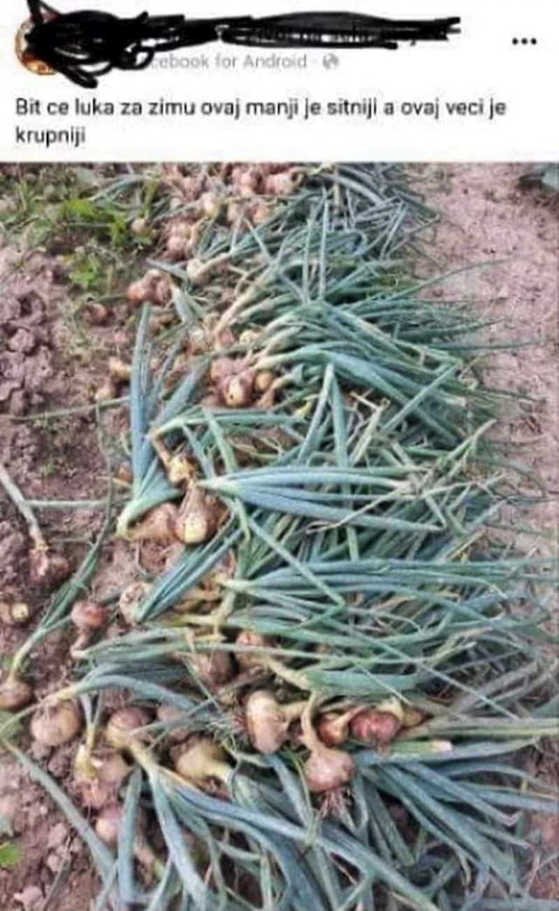 Kako je samo došla do ovog zaključka? ;)