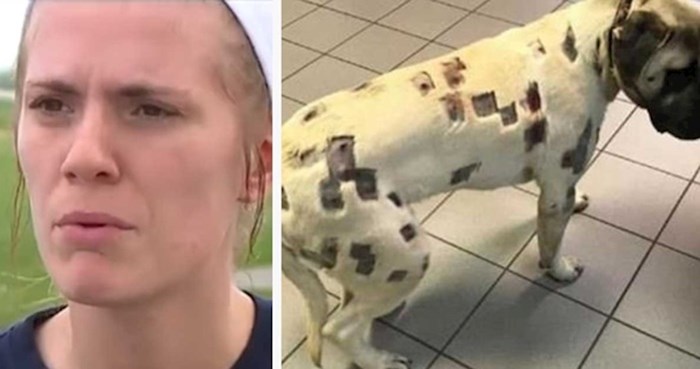Žena je mislila da su insekti izgrizli njenog psa. Veterinar joj je savjetovao da što prije nazove policiju