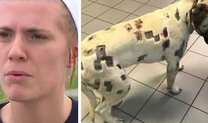 Žena je mislila da su insekti izgrizli njenog psa. Veterinar joj je savjetovao da što prije nazove policiju