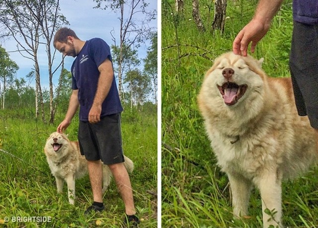 Dopuštaju vam da im dirate glavu. Obično im to nije jedna od dražih stvari, no kada vam to dopuštaju i kada zatvore oči dok ih mazite, daju vam do znanja da ste za njih posebni.