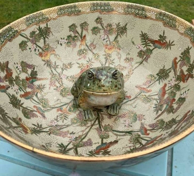 "Ova keramička vaza je unutra imala žabu, morali smo to kupiti."