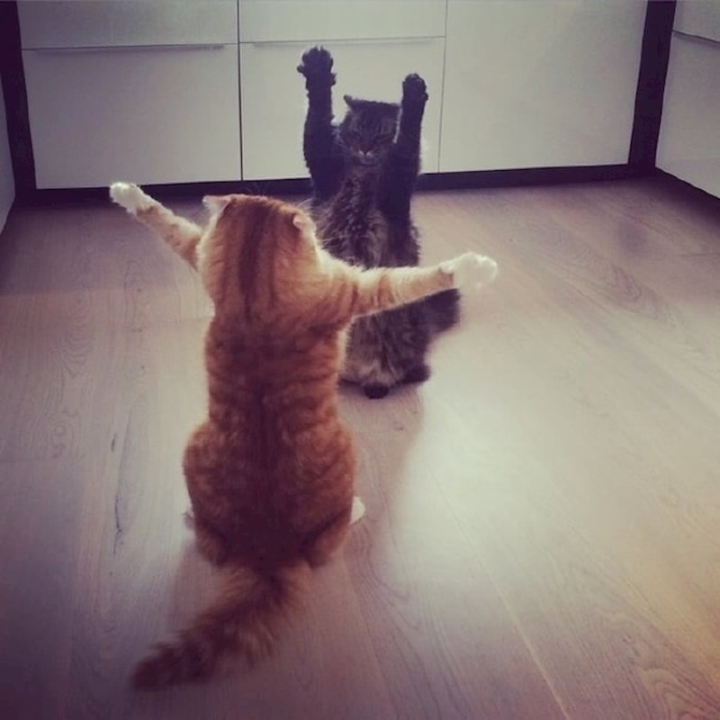 Glumljenje scene u kojoj se stari prijatelji vide nakon dugo vremena...