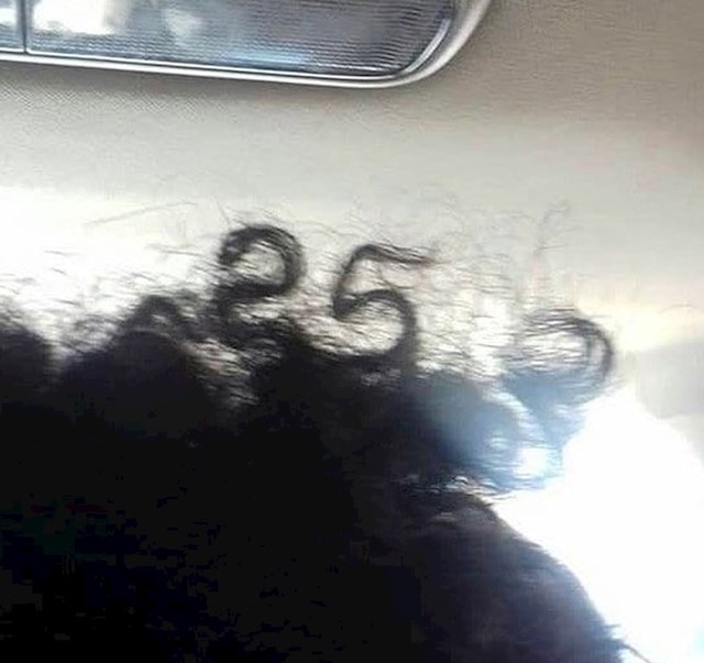 Ovom vozaču Ubera je na glavi pisao broj 253.