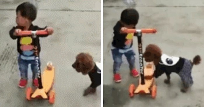 Dječačić je držao svoj romobil, a onda je mama snimila nevjerojatnu scenu sa psom