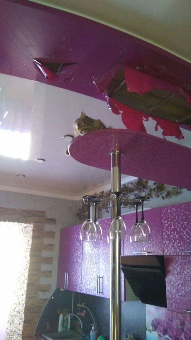 #9
