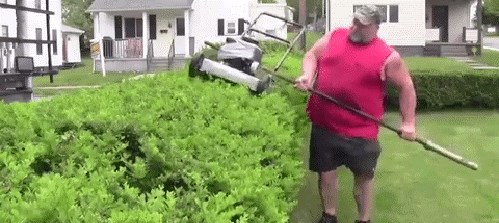 Majstor se sjetio kako će najbrže urediti živu ogradu u dvorištu