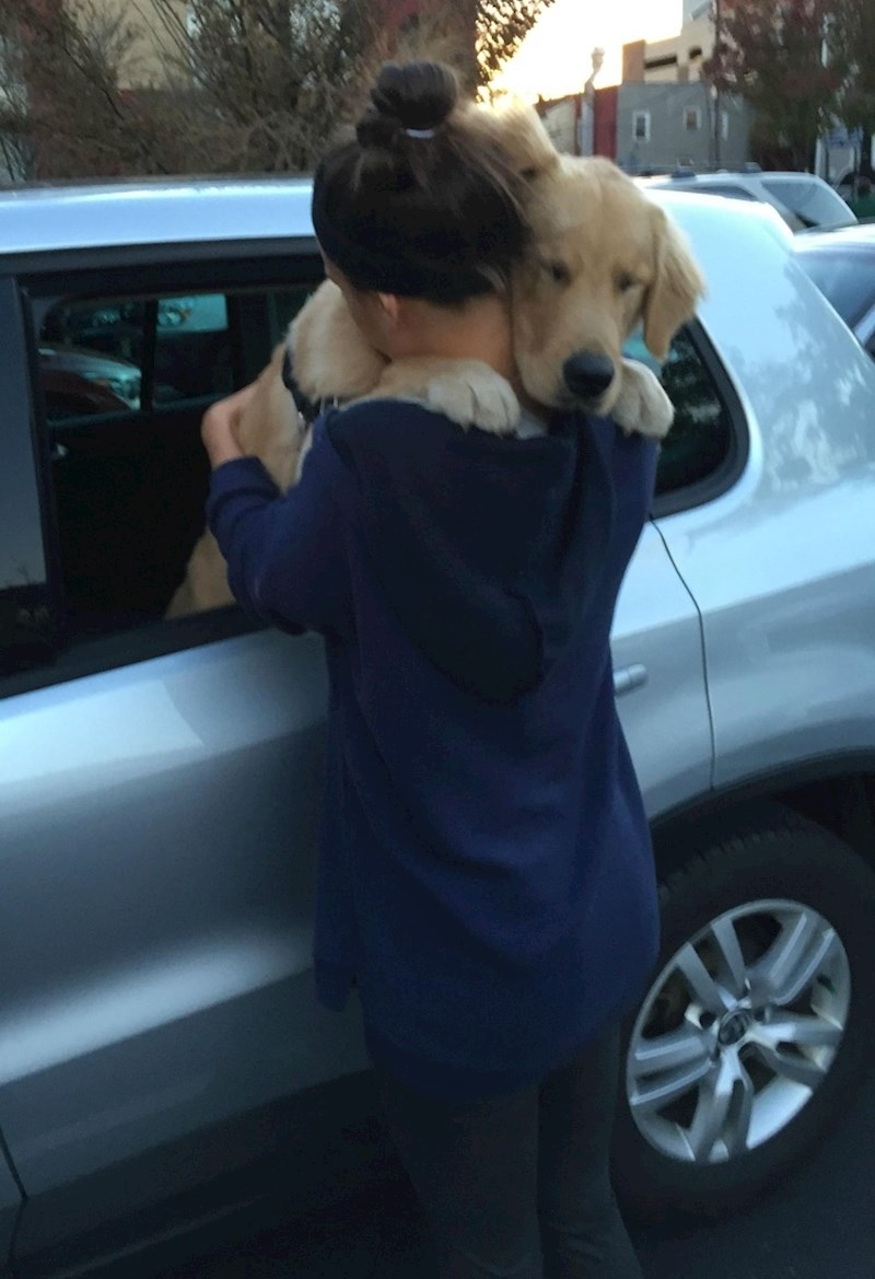 Pas se oprašta od vlasnice...