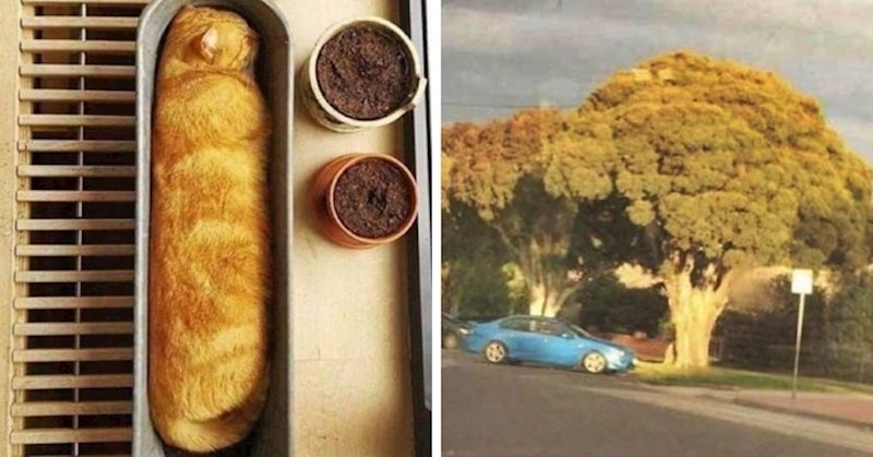 Najradije biste ih pojeli, no ove "poslastice" bi vam mogle slomiti zube