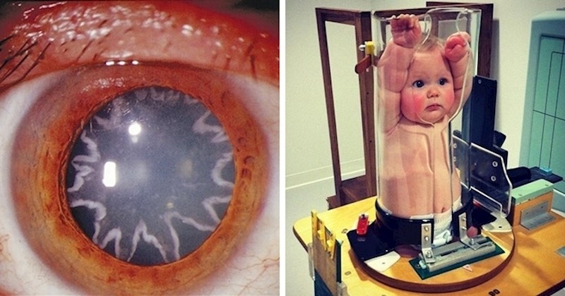 15 rijetkih fotografija koje trebate vidjeti bar jednom u životu