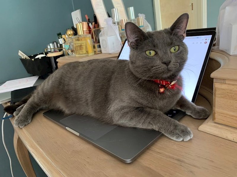 "Kod kuće si i misliš raditi? E pa neće moći!"