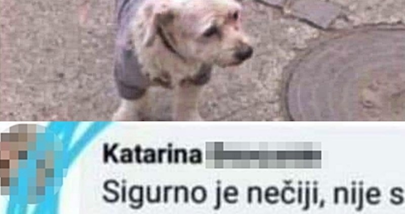 Žena je na Facebooku vidjela sliku izgubljenog psa, svojim komentarom je nasmijala ostale