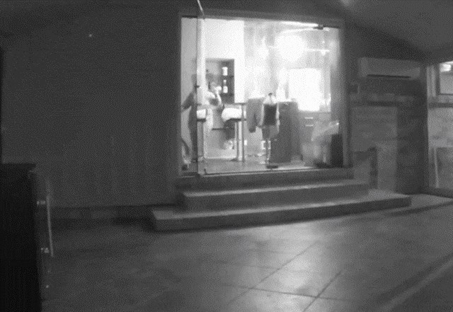 Ova vlasnica mačaka se na smiješan način uvjerila da previše čišćenja nije dobro za kućne ljubimce