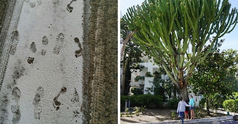 Ove fotke na prvi pogled izgledaju sasvim normalno, no primijetit ćete zanimljive detalje