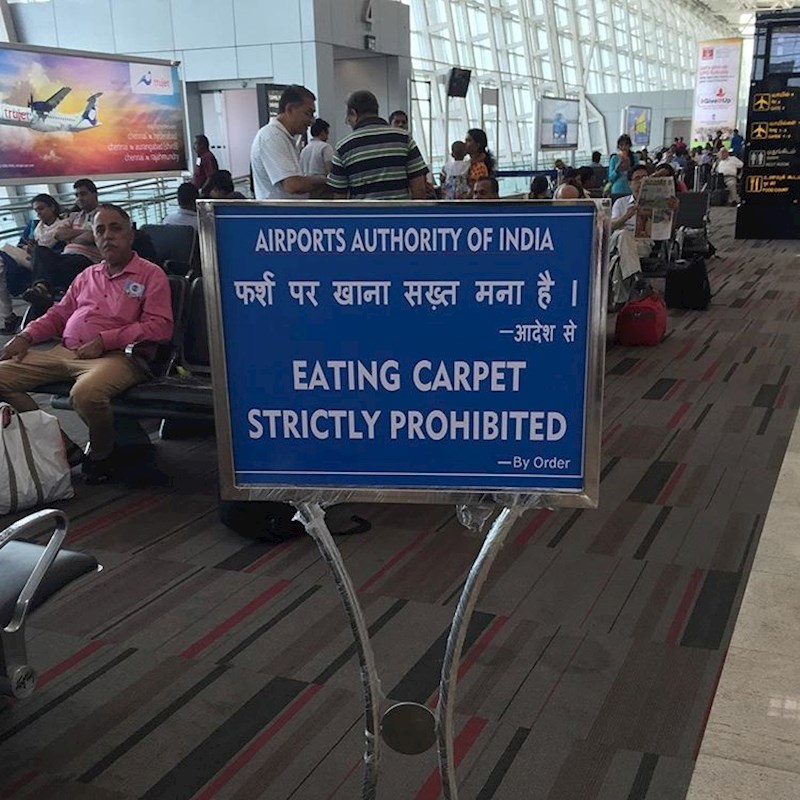 "Jedenje tepiha je strogo zabranjeno"