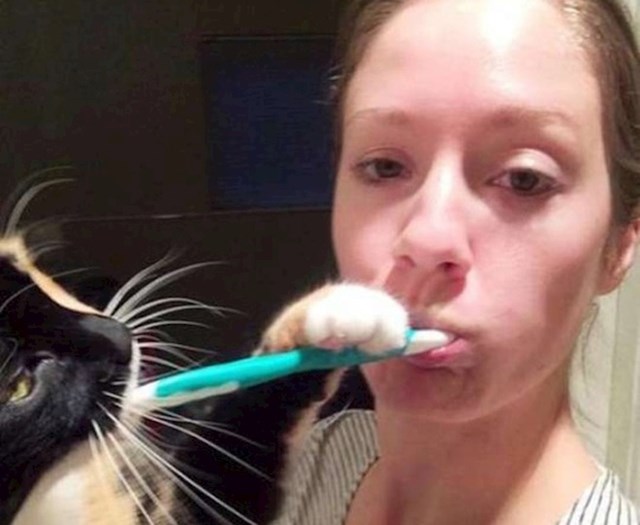 Ova maca je svojoj vlasnici pomogla u pranju zubi.