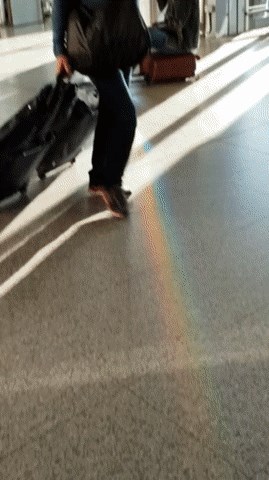 Lik je u zračnoj luci sjeo na kofer, odjednom su se svi počeli okretati za njim