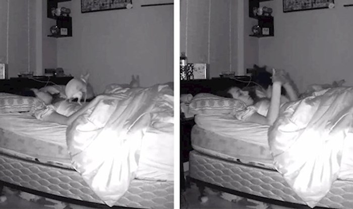 VIDEO Pokušala je spavati, a onda je došao pas i učinio nešto što nikad neće zaboraviti